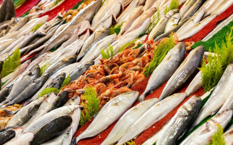 Seafood Supplier